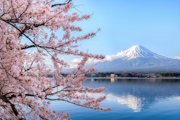 Japonés